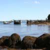 Freda Beach