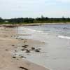 Cleveland Beach