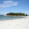 Children playing on Carters Beach