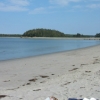 Taylor Head1
